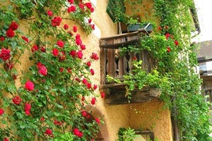 去日本旅游學(xué)生需要什么條件(大學(xué)生去日本旅游需要什么條件)