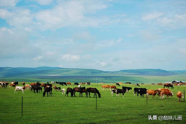 去內(nèi)蒙古旅游，有什么好玩的地方值得推薦？